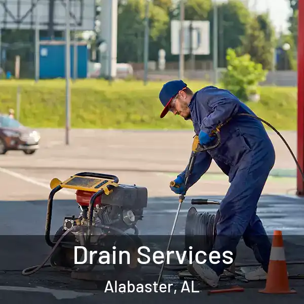  Drain Services Alabaster, AL