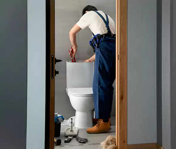 Professional Plumbers for Toilet Bowl Replacement in Alabaster, AL: Schedule Affordable Toilet Replacement Services With Us