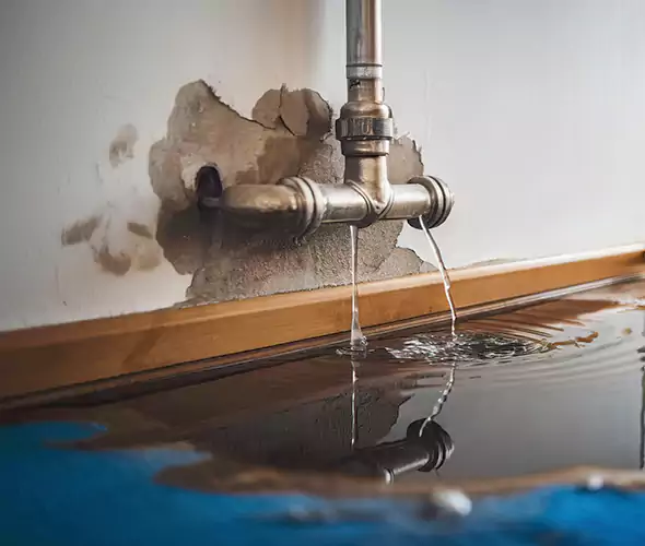 Professional Water Damage Restoration Experts in Alabaster, AL — Fast, Reliable & Certified