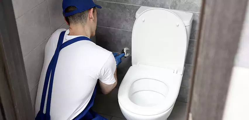 Toilet Lid Replacement in Alabaster