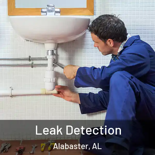  Leak Detection Alabaster, AL