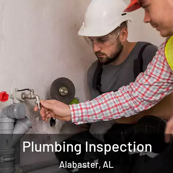  Plumbing Inspection Alabaster, AL