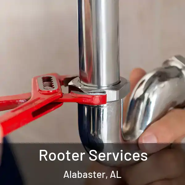  Rooter Services Alabaster, AL