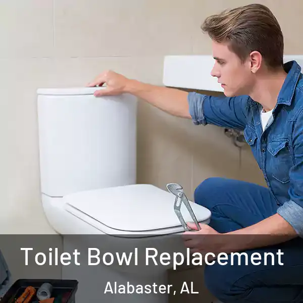  Toilet Bowl Replacement Alabaster, AL