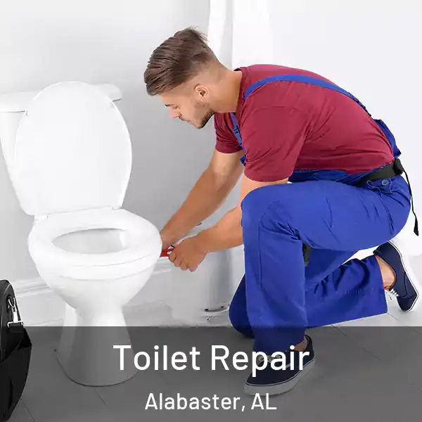  Toilet Repair Alabaster, AL