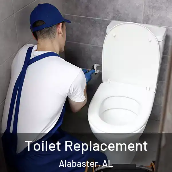  Toilet Replacement Alabaster, AL