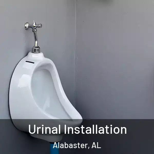  Urinal Installation Alabaster, AL