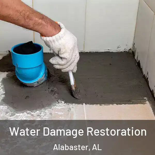  Water Damage Restoration Alabaster, AL