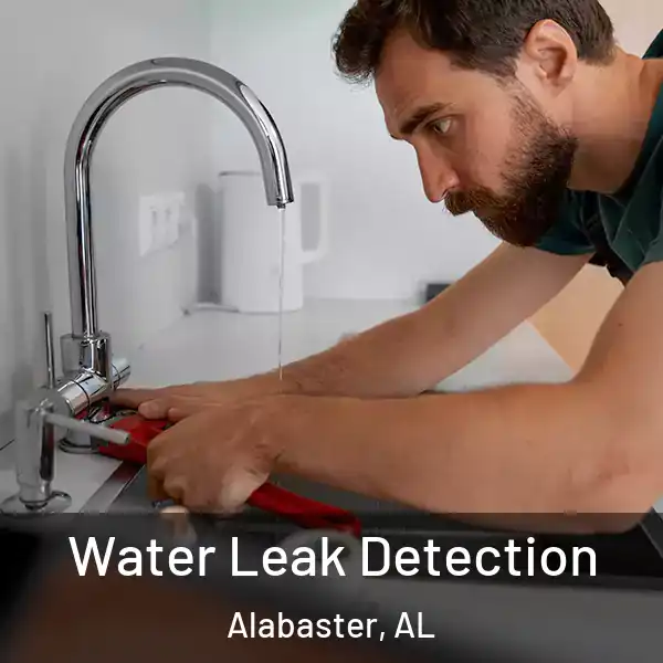 Water Leak Detection Alabaster, AL